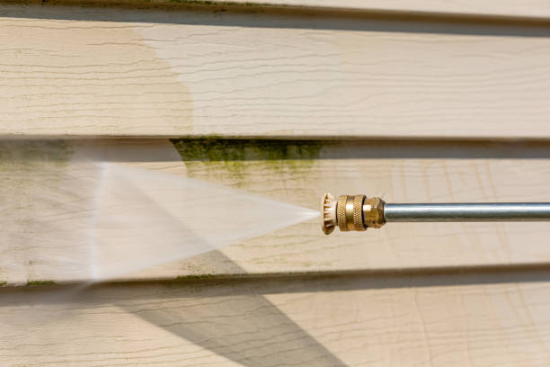 Best Sidewalk Pressure Washing  in Honeygo, MD